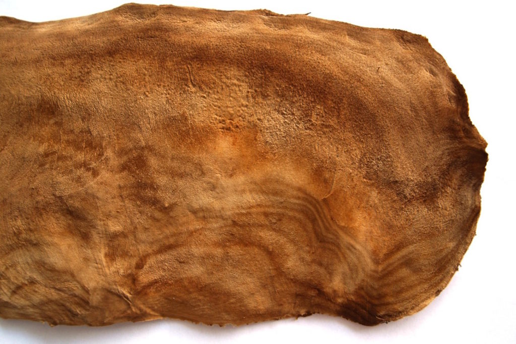 mushroom leather